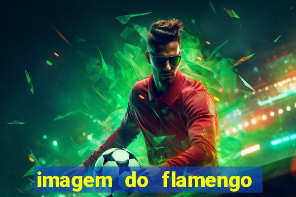 imagem do flamengo para perfil